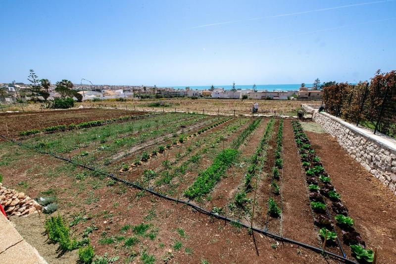 Poggio Leano image