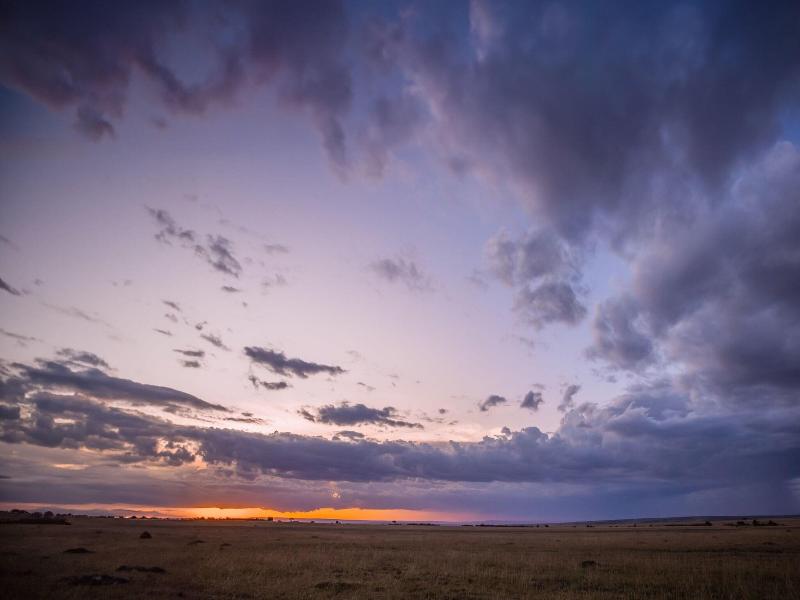 Jw Marriott Masai Mara Lodge image