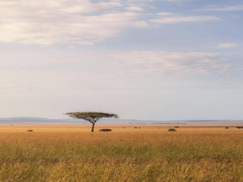 Jw Marriott Masai Mara Lodge image