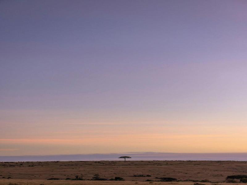 Jw Marriott Masai Mara Lodge image