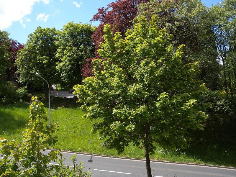 Hostel Goslar image