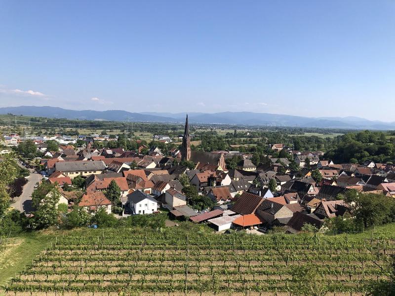 Gasthof Rebland image