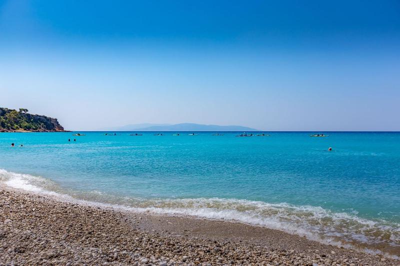 Barefoot Contessa - Image 6