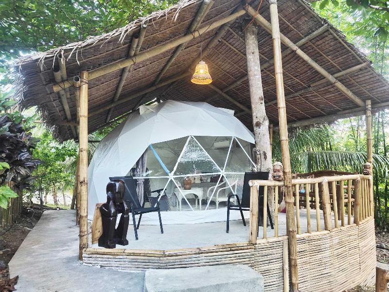 Eco-treehouse Glamping Services image
