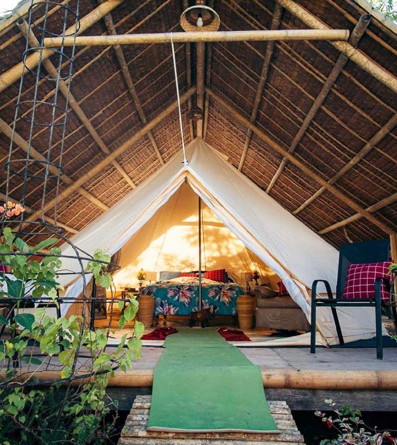 Eco-treehouse Glamping Services image