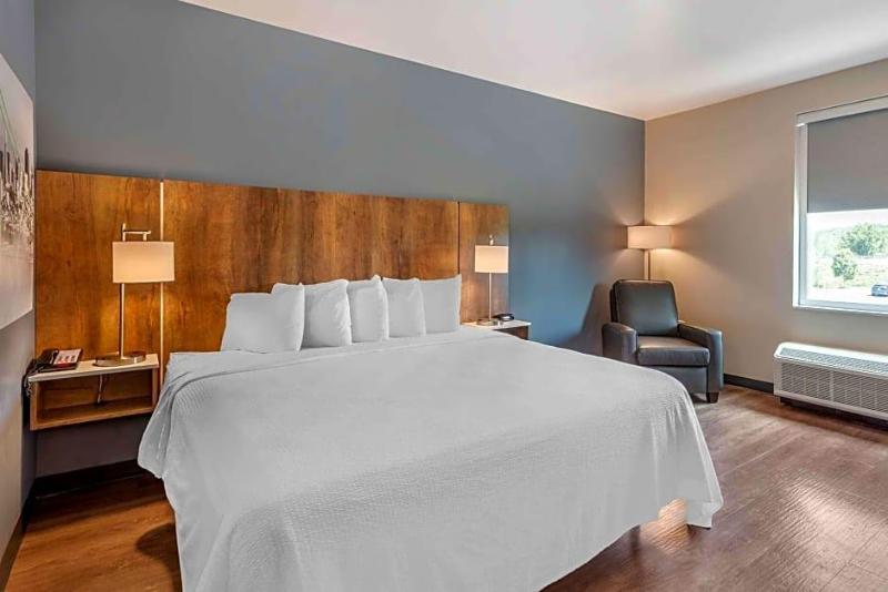 Extended Stay America Premier Suites Tampa Fairgro image