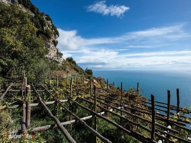Albergo Dipinto Bacco Furore image
