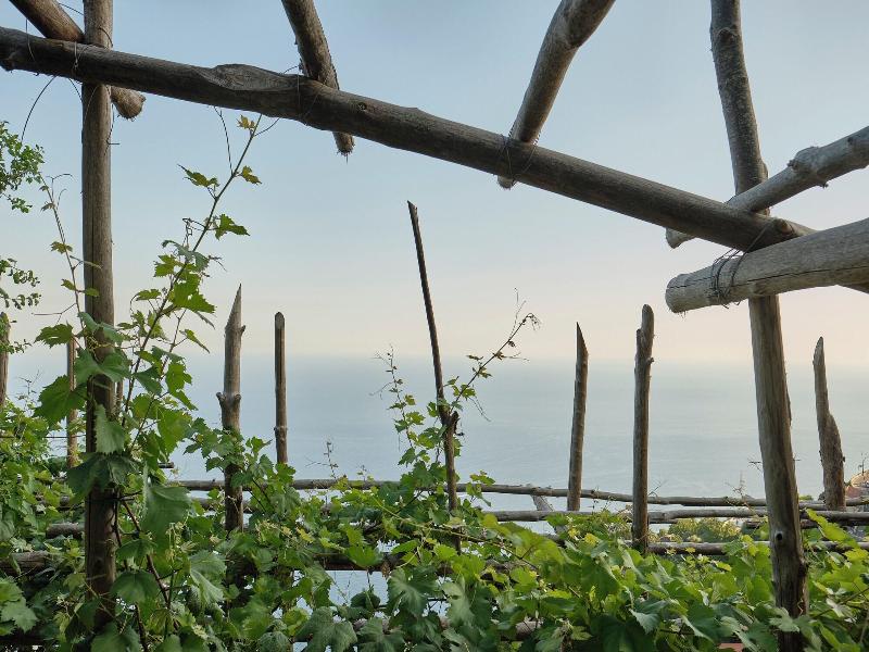 Albergo Dipinto Bacco Furore image