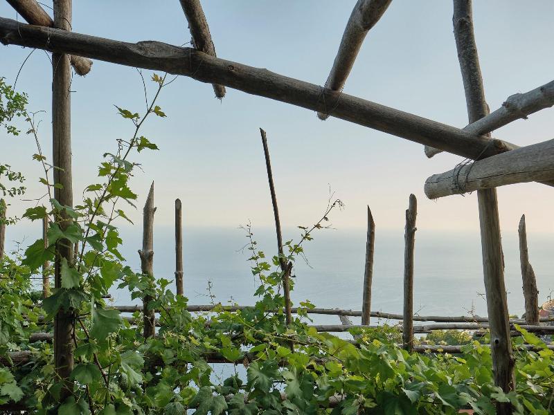 Albergo Dipinto Bacco Furore image