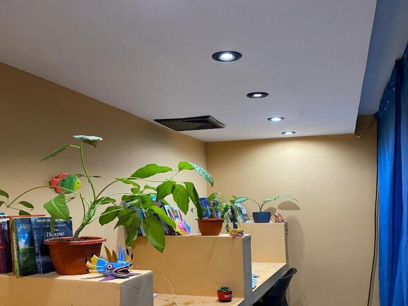 Panama Experience Hostel image