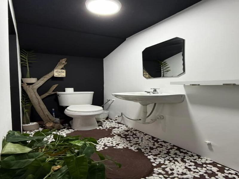Panama Experience Hostel image
