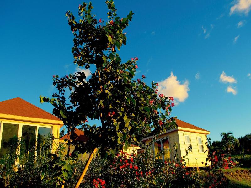 The Hamilton Beach Villas Spa image