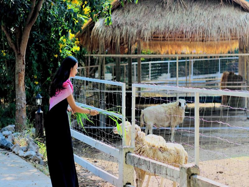Wellness World Khao Yai