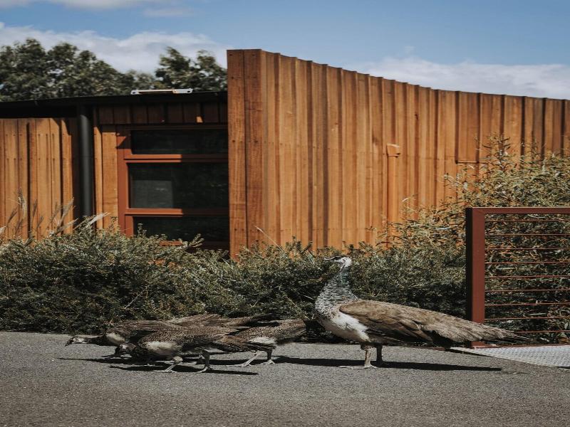 Iron Creek Bay Farm Stay