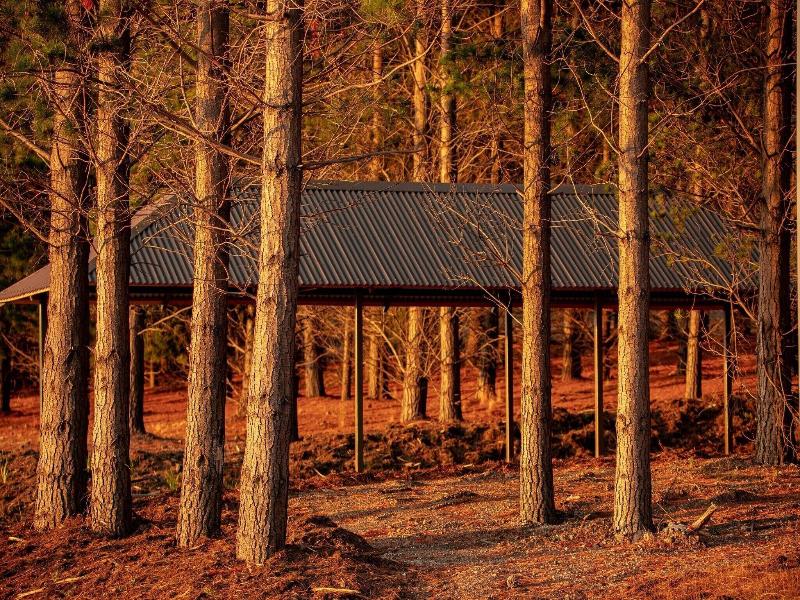 Iron Creek Bay Farm Stay