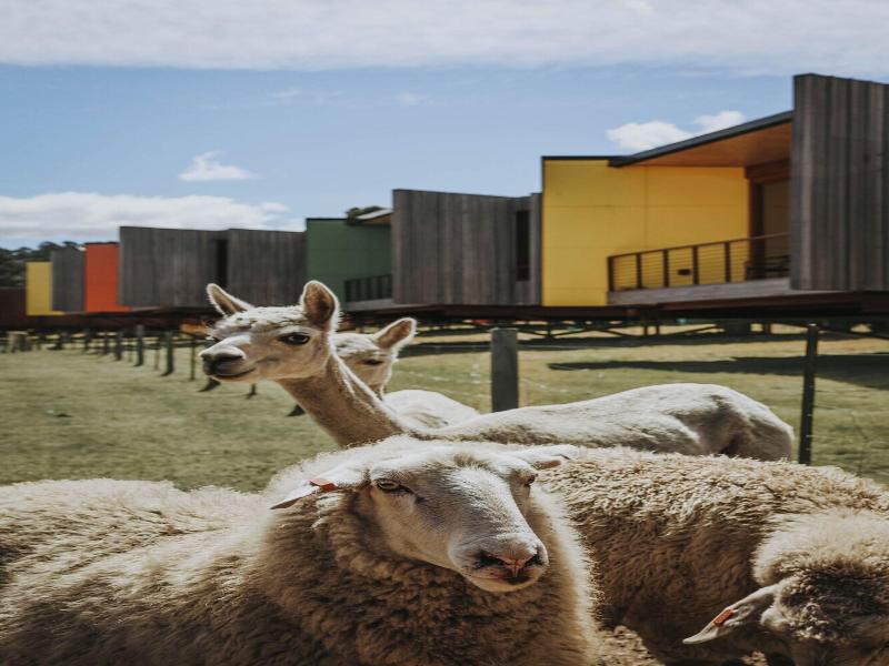 Iron Creek Bay Farm Stay