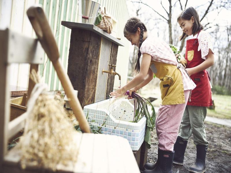 Hoshino Resorts Risonare Nasu image