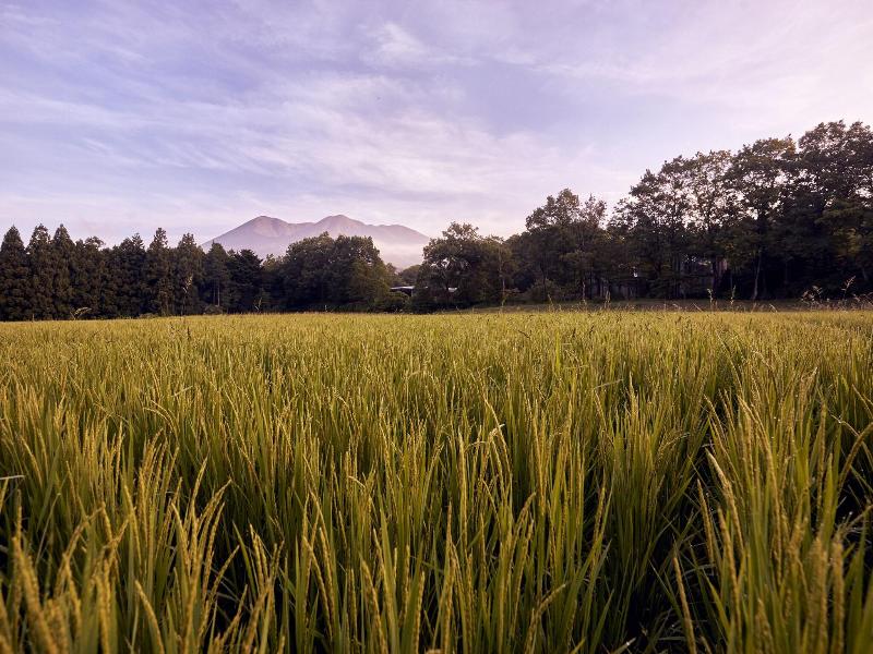 Hoshino Resorts Risonare Nasu image