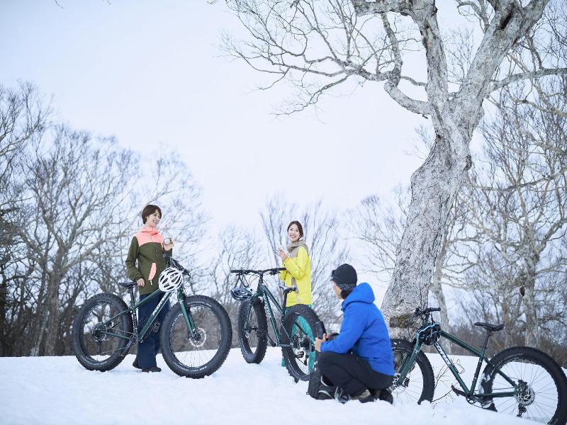 Hoshino Resorts Risonare Nasu image