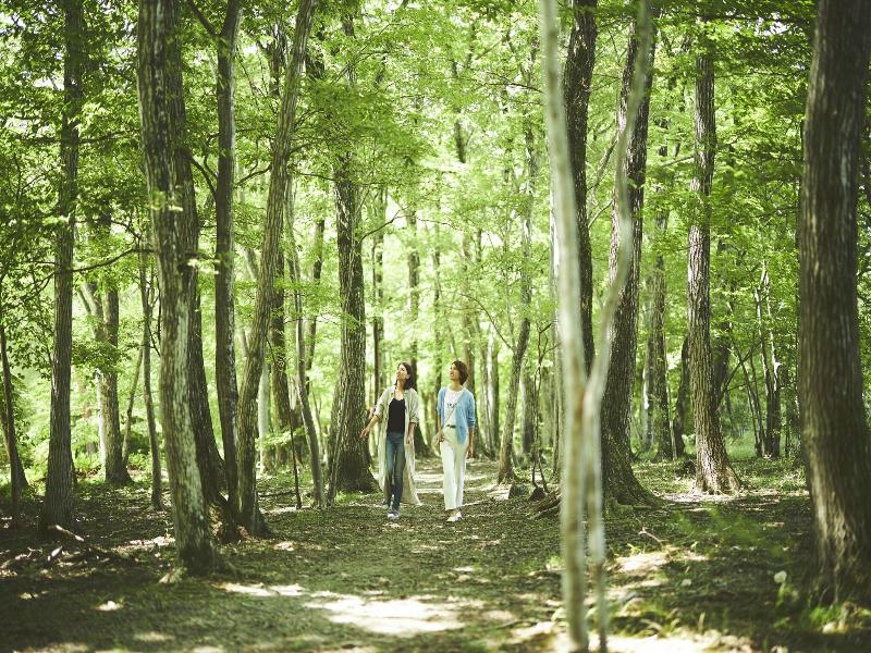 Hoshino Resorts Risonare Nasu image
