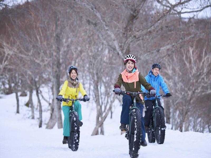 Hoshino Resorts Risonare Nasu image