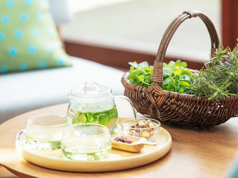 Hoshino Resorts Risonare Nasu image