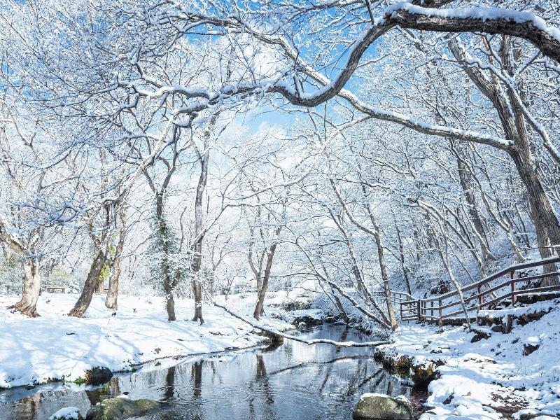 Hoshino Resorts Risonare Nasu image