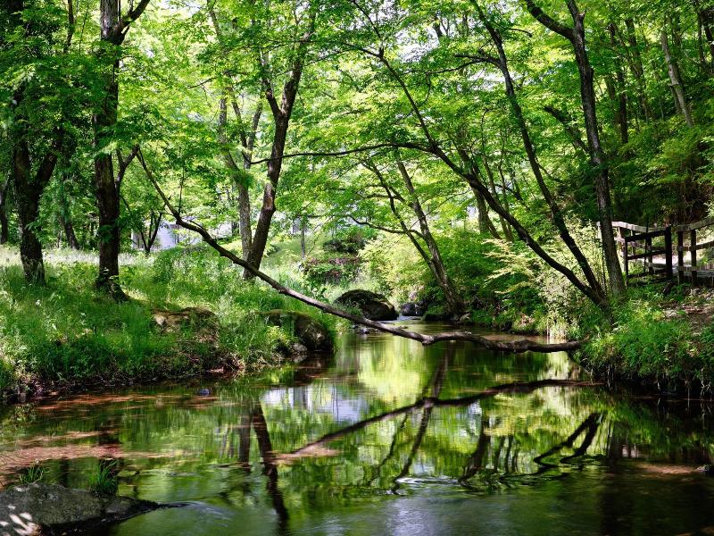 Hoshino Resorts Risonare Nasu image