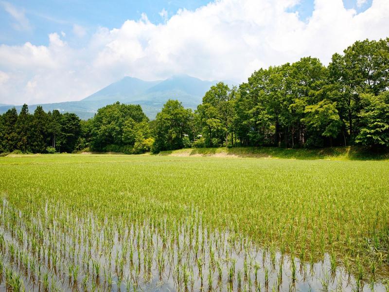 Hoshino Resorts Risonare Nasu image