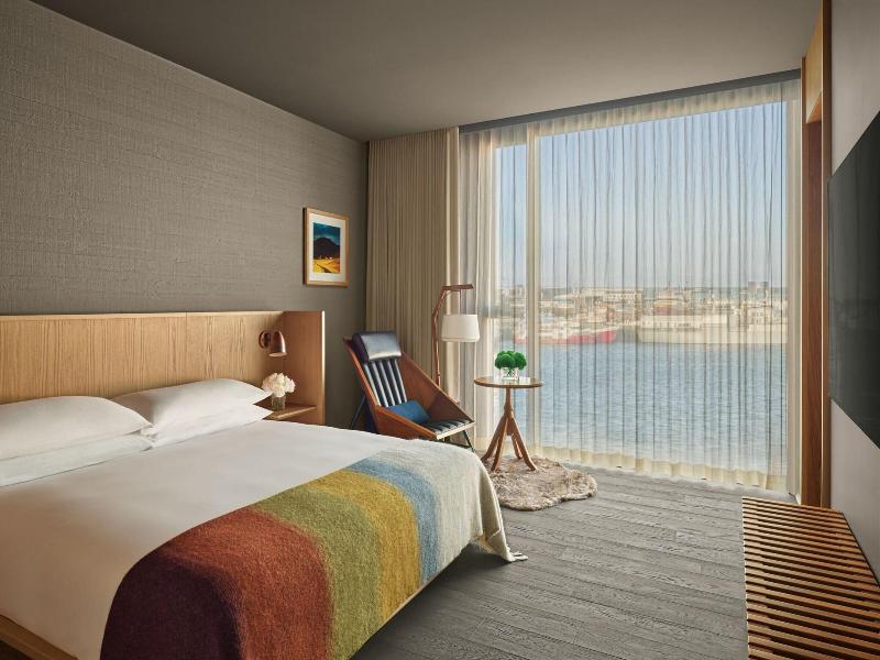The Reykjavik Edition image