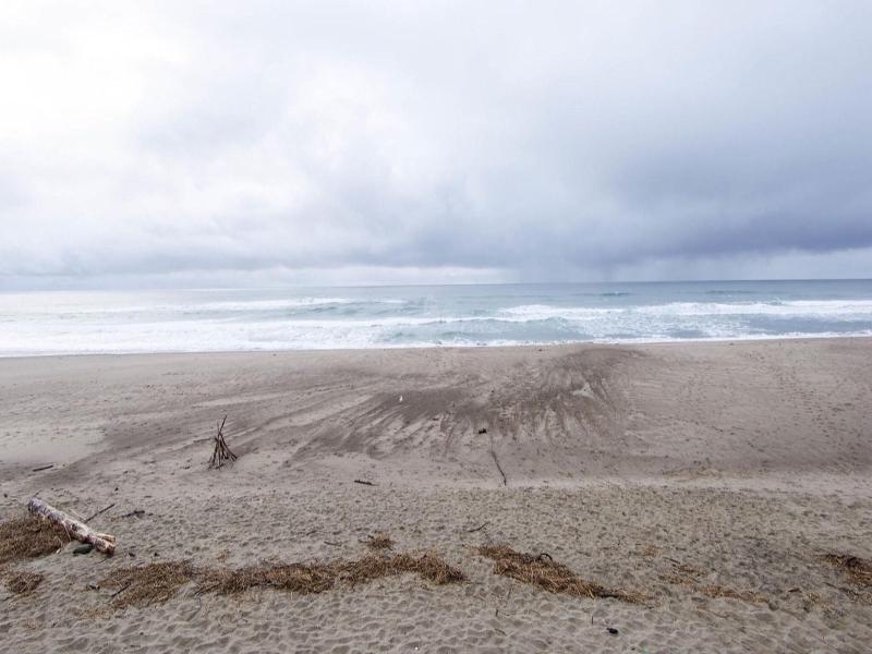 Sandcastle Beachfront Motel
