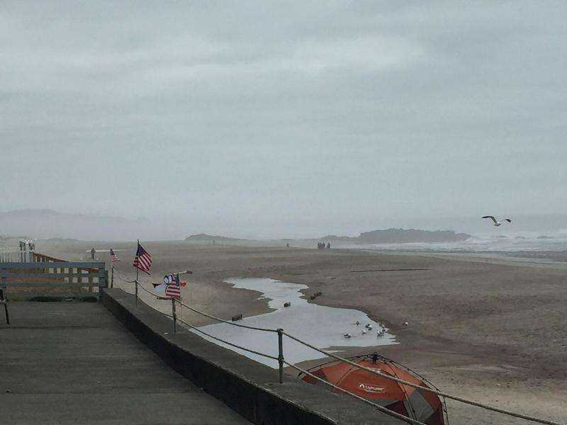 Sandcastle Beachfront Motel