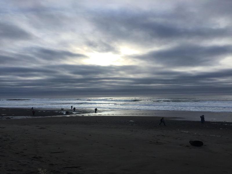 Sandcastle Beachfront Motel