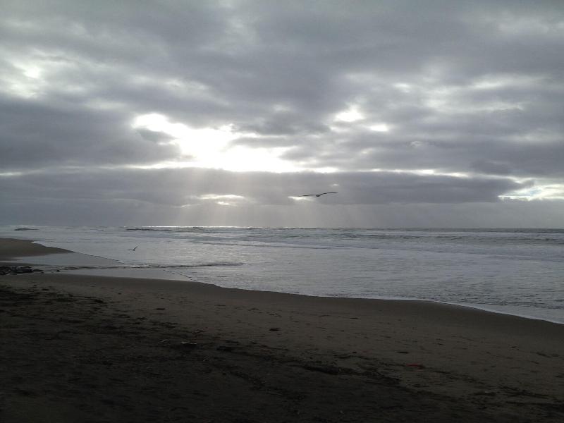 Sandcastle Beachfront Motel — photo 6