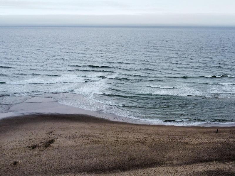Sandcastle Beachfront Motel — photo 19