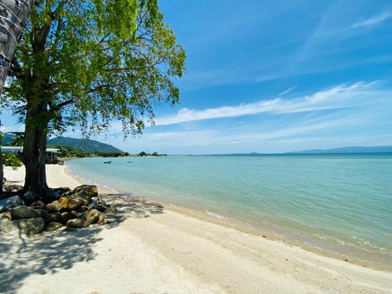 Absolute Beachfront Resort image