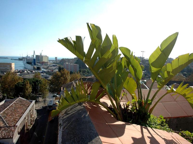San Placido Inn image