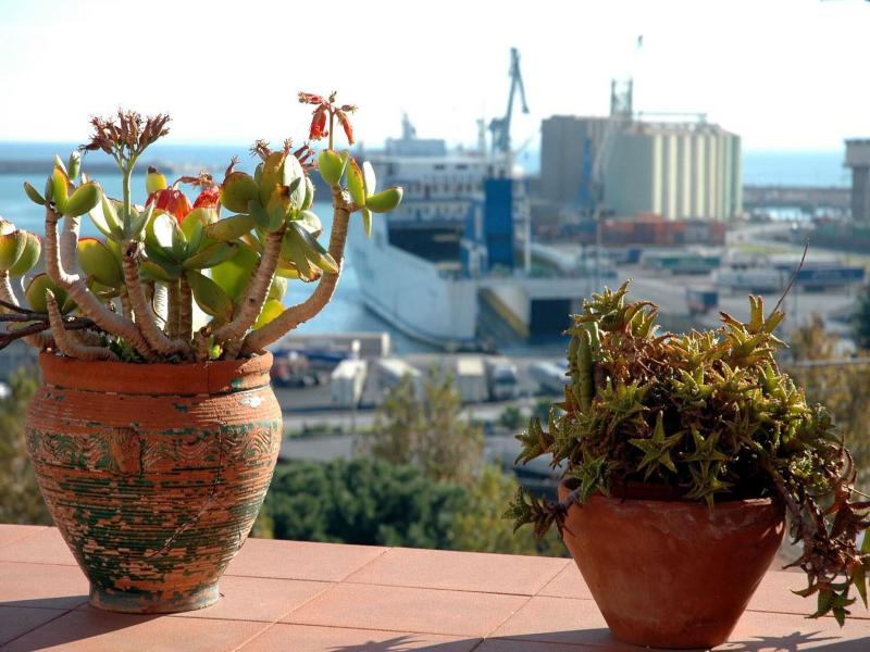 San Placido Inn image