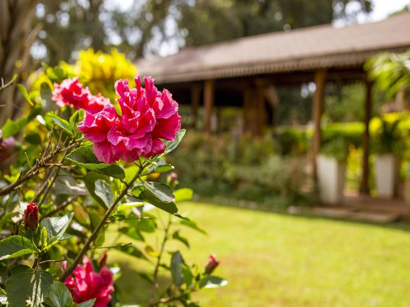 Villa Kololo Guest House image