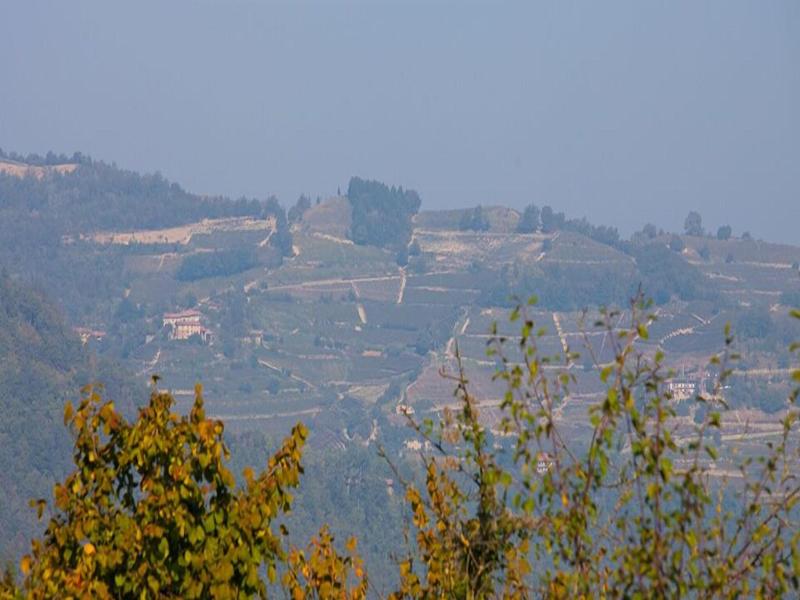 Cascina Il Sogno image