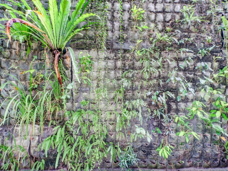 Collection O Bali Near Sanur Beach image