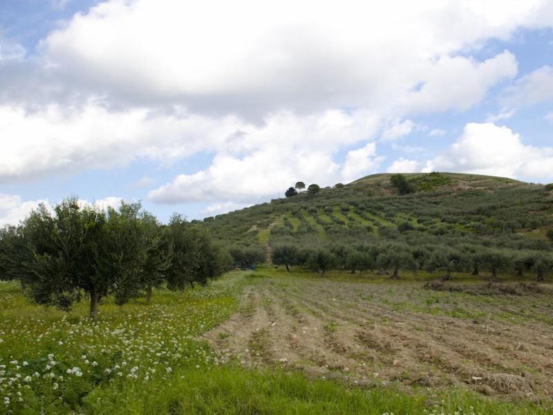 Agriturismo Don Carlo image