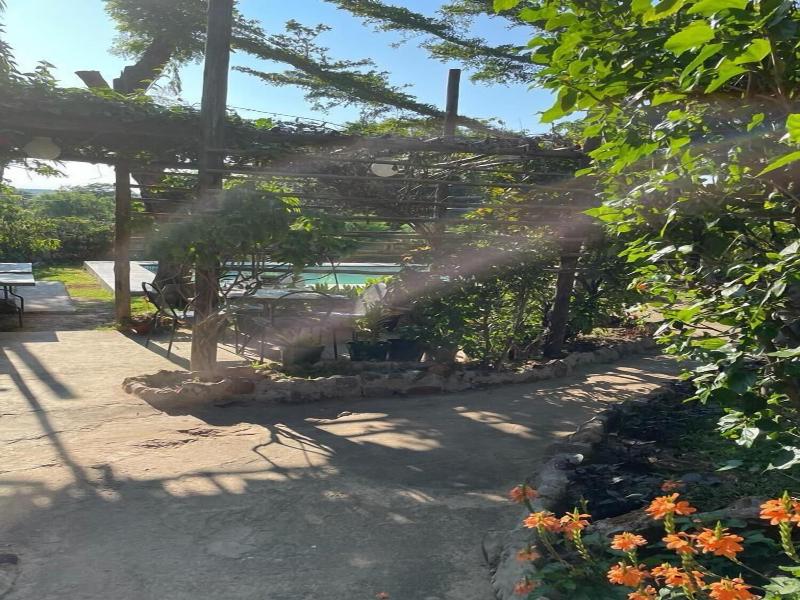 Beulah Court Vineyard Guest House image