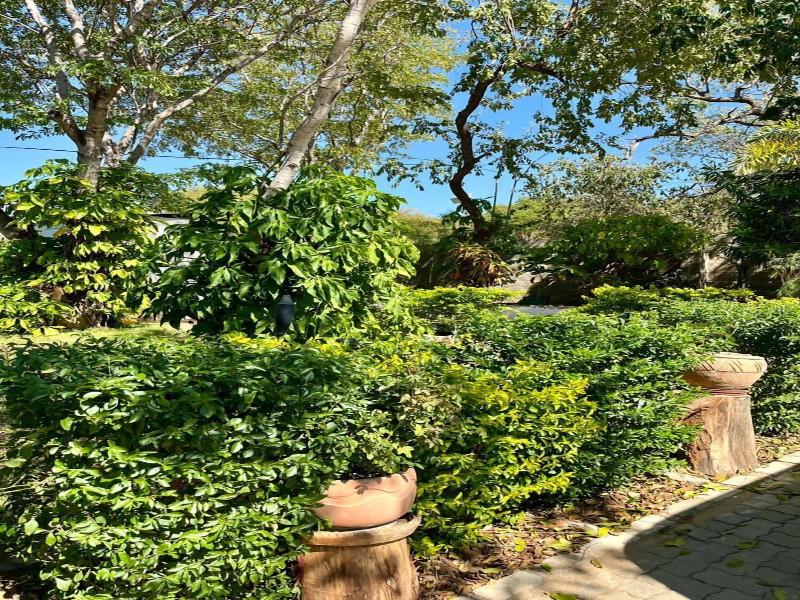 Beulah Court Vineyard Guest House image