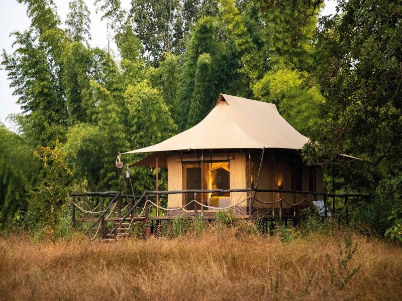 The Untamed Bandhavgarh By Tutc, Umaria