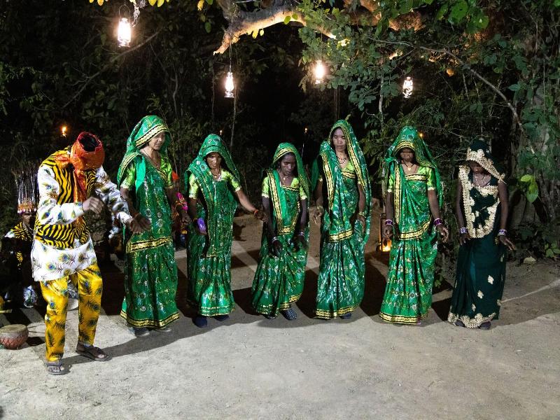 The Untamed Bandhavgarh By Tutc