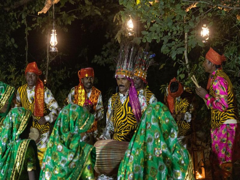 The Untamed Bandhavgarh By Tutc