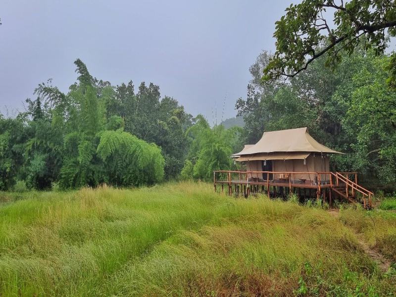 The Untamed Bandhavgarh By Tutc