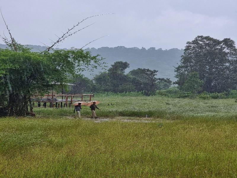The Untamed Bandhavgarh By Tutc
