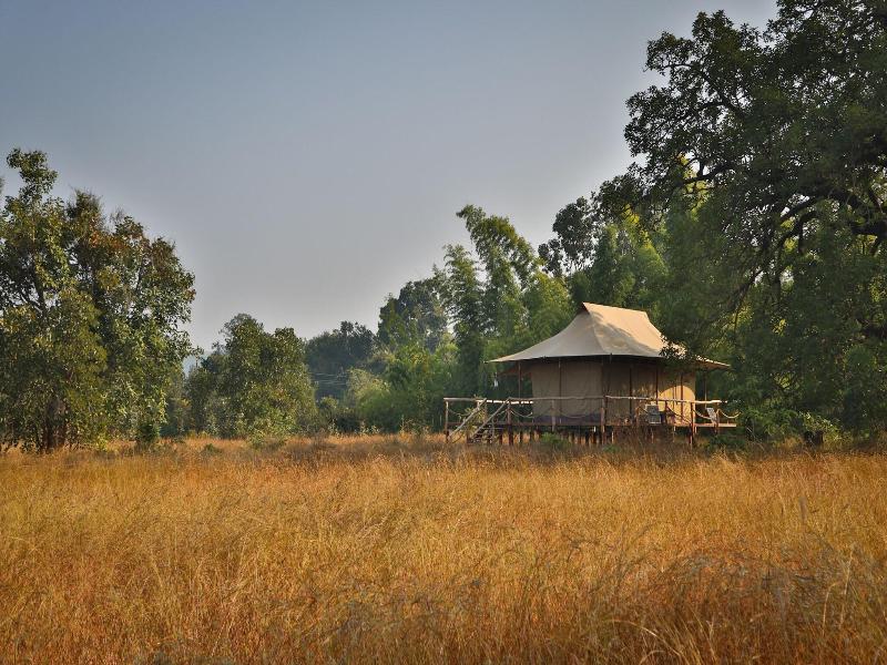 The Untamed Bandhavgarh By Tutc